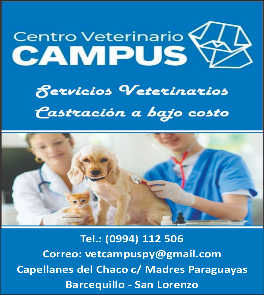 CENTRO VETERINARIO CAMPUS