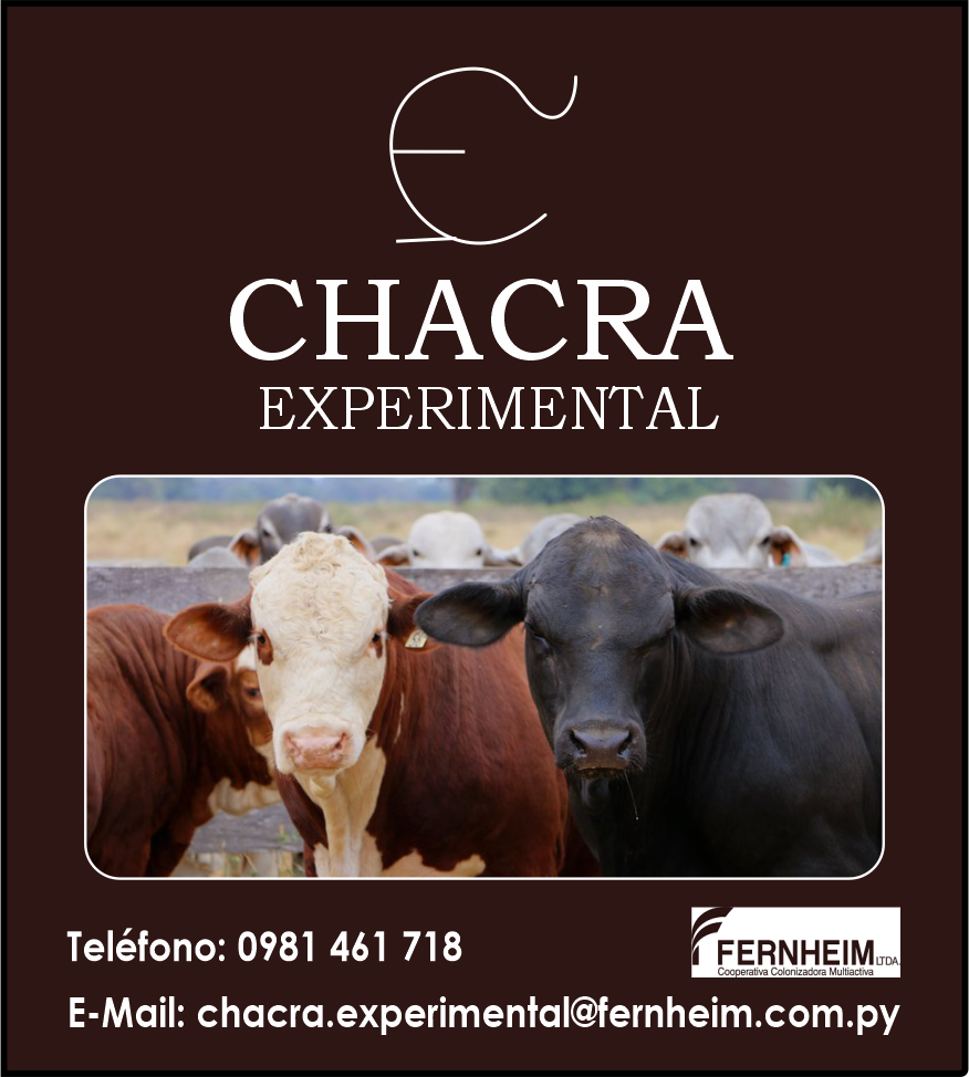 CHACRA EXPERIMENTAL