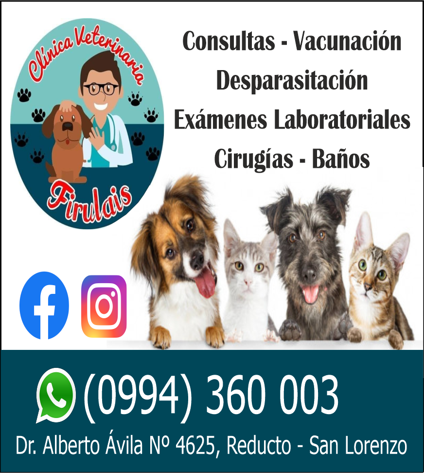 CLÍNICA VETERINARIA FIRULAIS