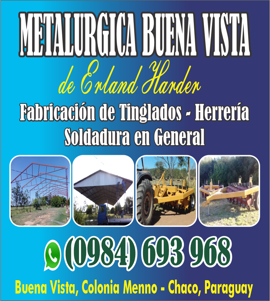 METALÚRGICA BUENA VISTA