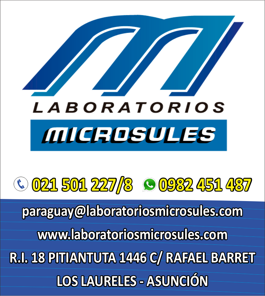 MICROSULES PARAGUAY S.A.