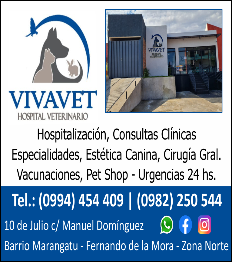 VIVAVET HOSPITAL VETERINARIO